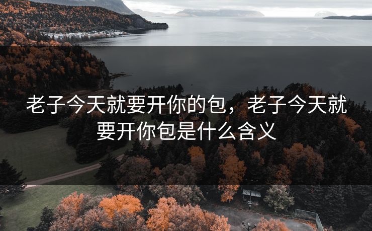 老子今天就要开你的包，老子今天就要开你包是什么含义