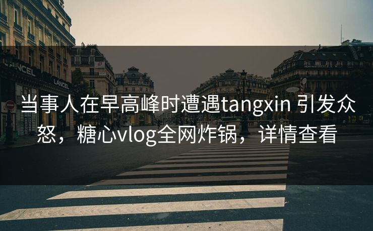 当事人在早高峰时遭遇tangxin 引发众怒,糖心vlog全网炸锅,详情查看 当事人在早高峰时遭遇tangxin 引发众怒,糖心vlog全网炸锅,详情查看
