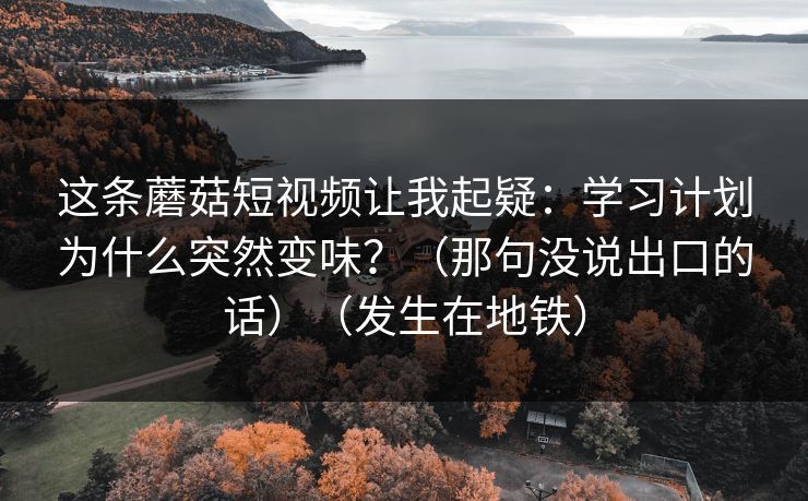 这条蘑菇短视频让我起疑：学习计划为什么突然变味？（那句没说出口的话）（发生在地铁）